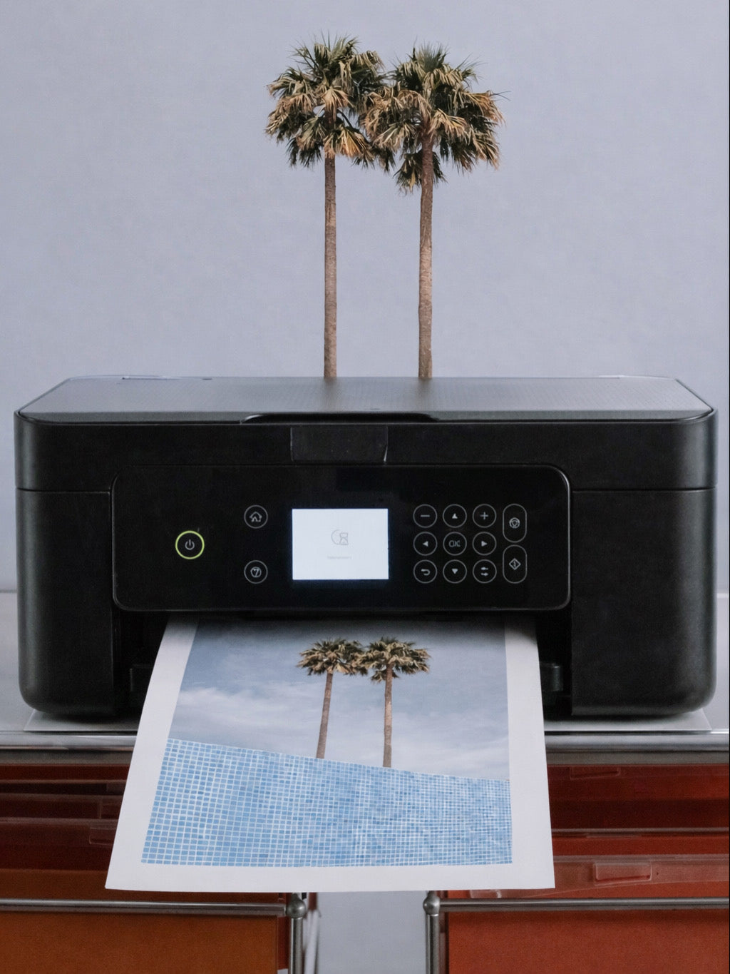 Poolside Palms on Film - Fine Art Poster