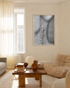 Cactus Lines No.2 - Fine Art Poster