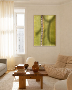 Cactus Lines No.2 - Fine Art Poster