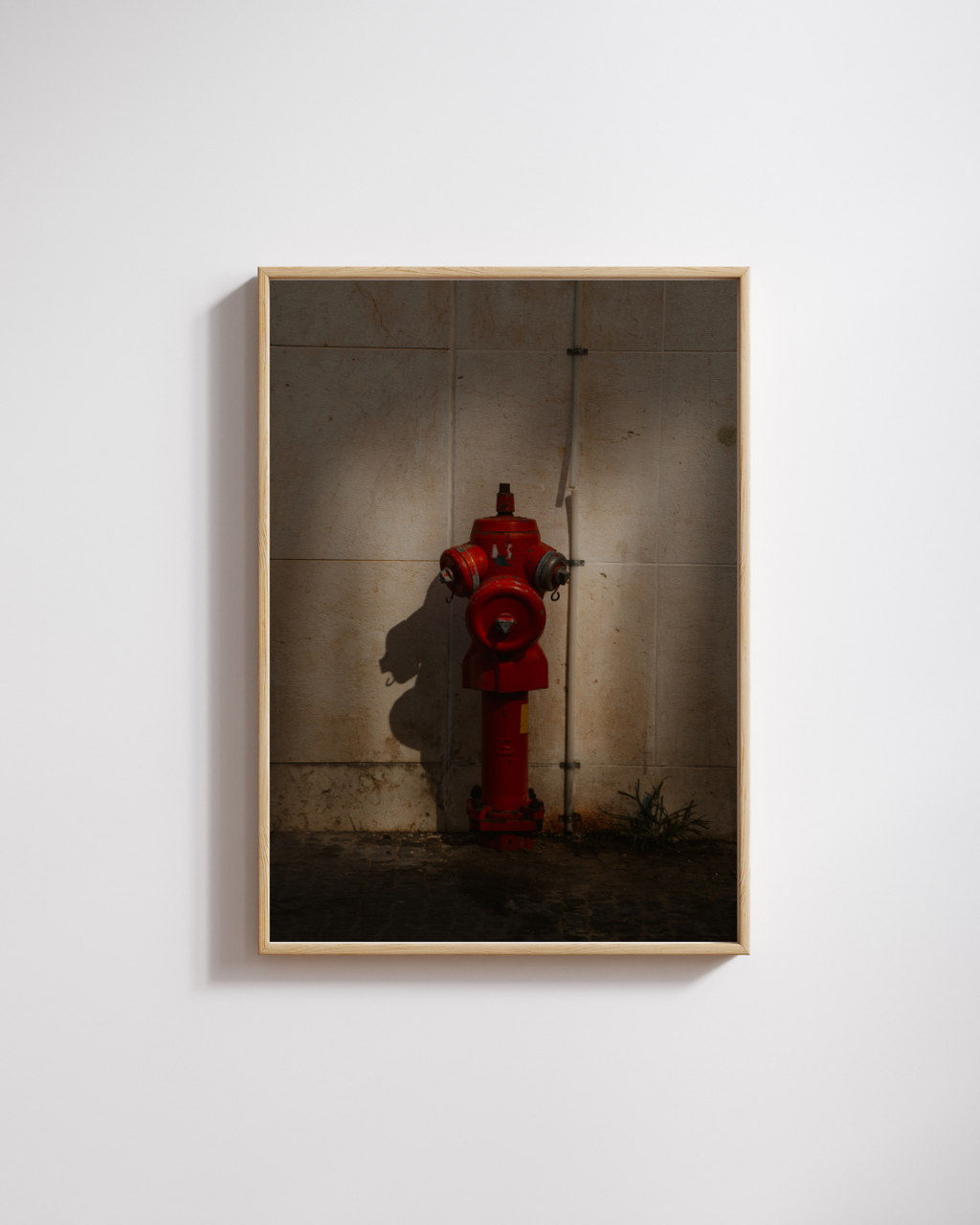 The Red Hydrant - Fine Art Poster
