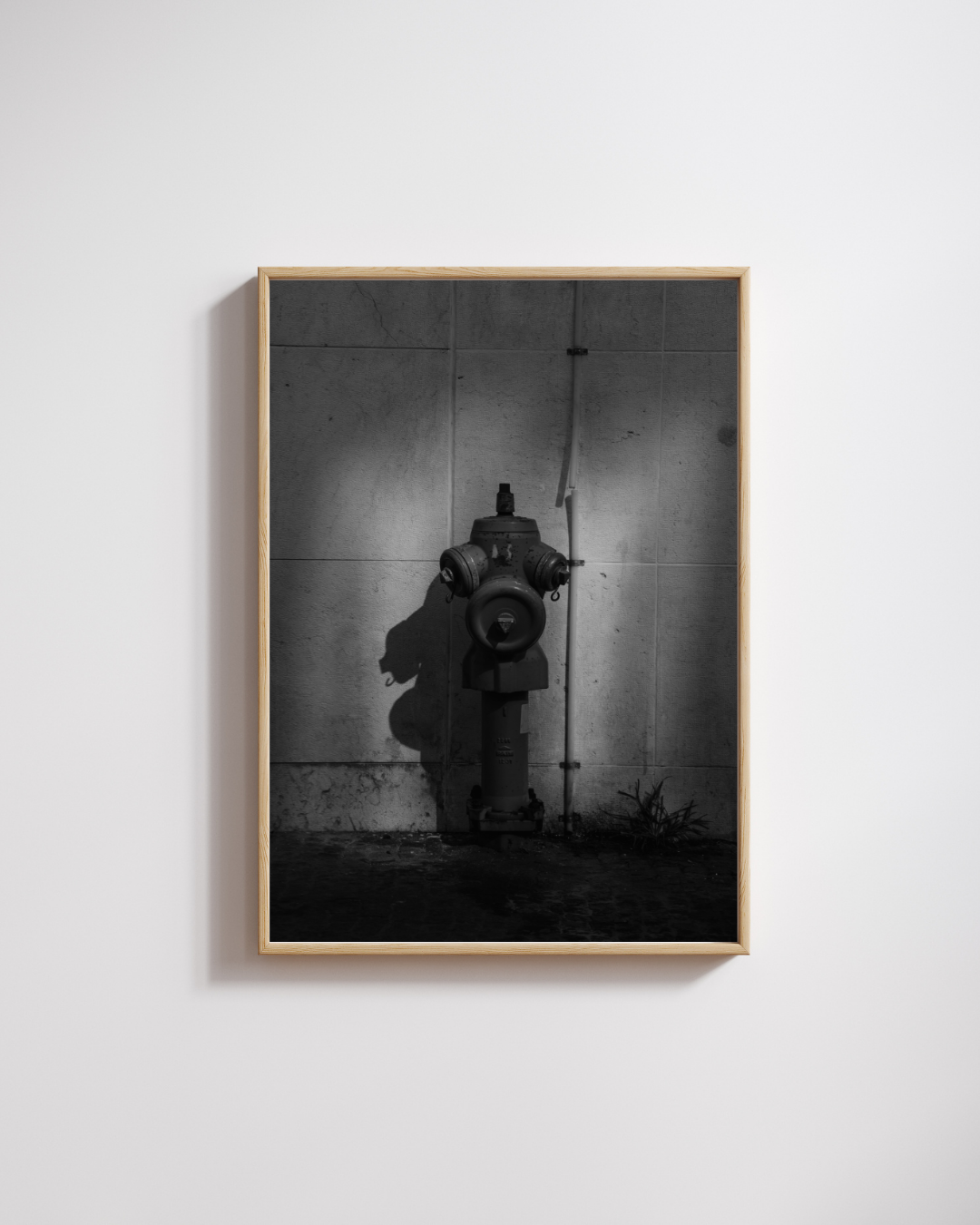 The Red Hydrant - Fine Art Poster