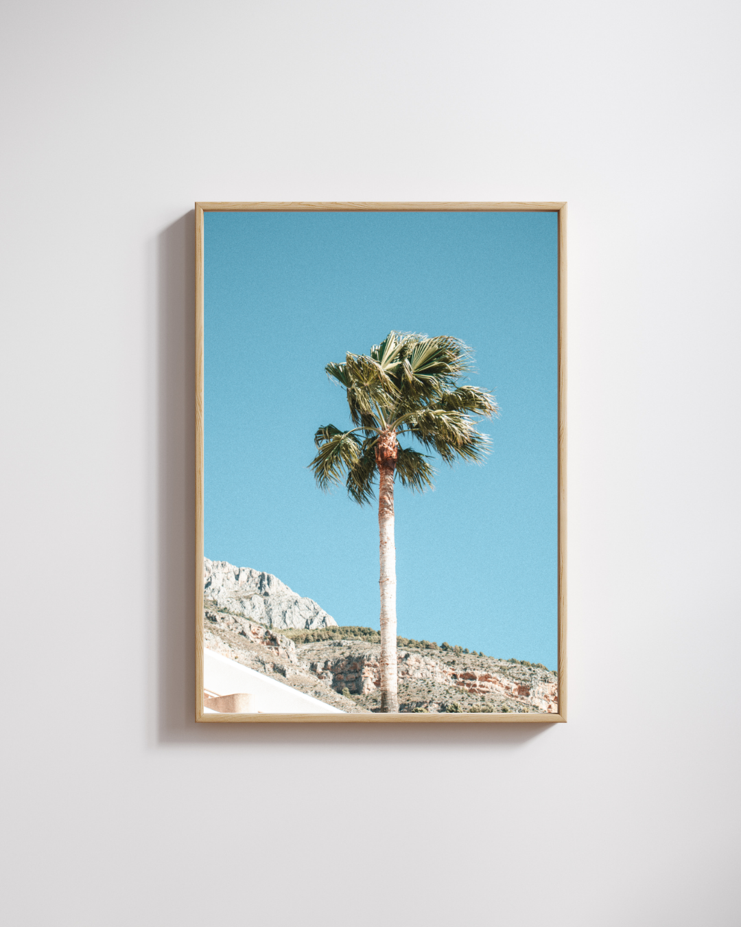 Analog Palm - Fine Art Poster