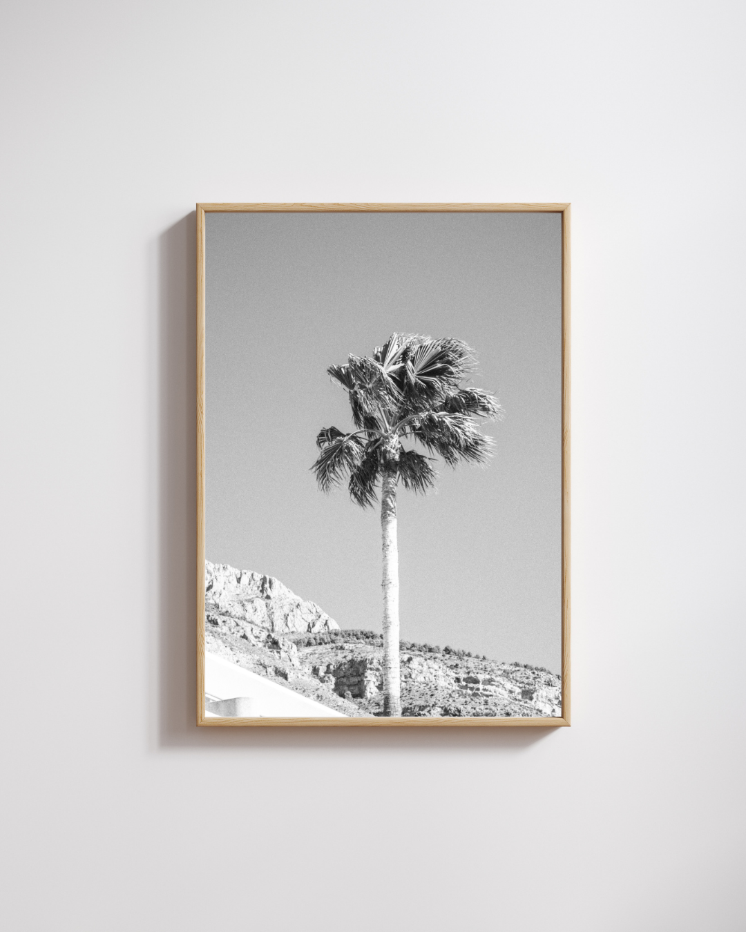 Analog Palm - Fine Art Poster