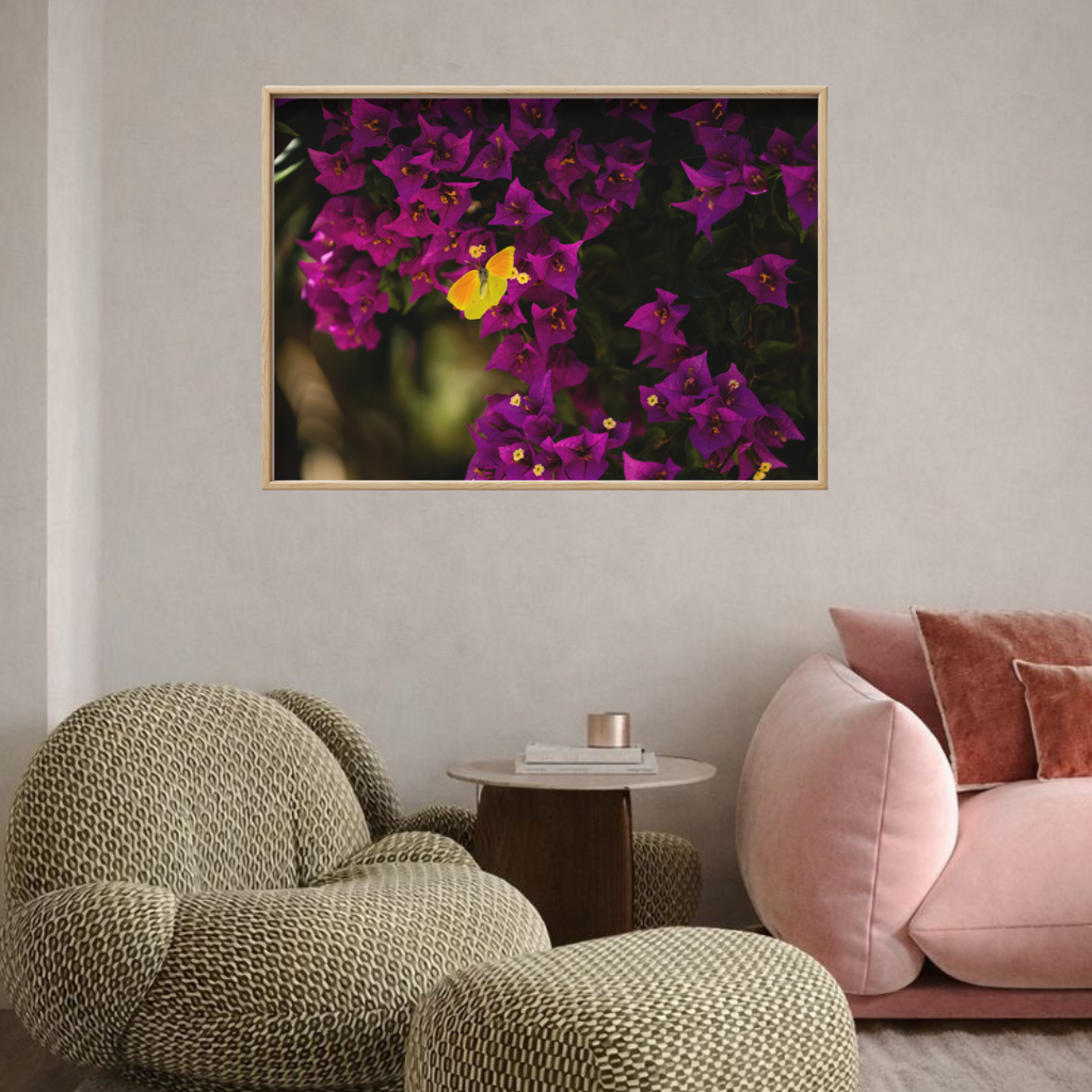 Bold Butterfly - Fine Art Poster