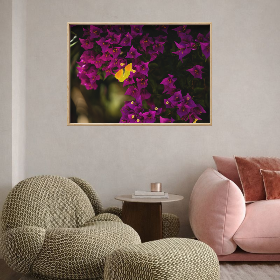 Bold Butterfly - Fine Art Poster