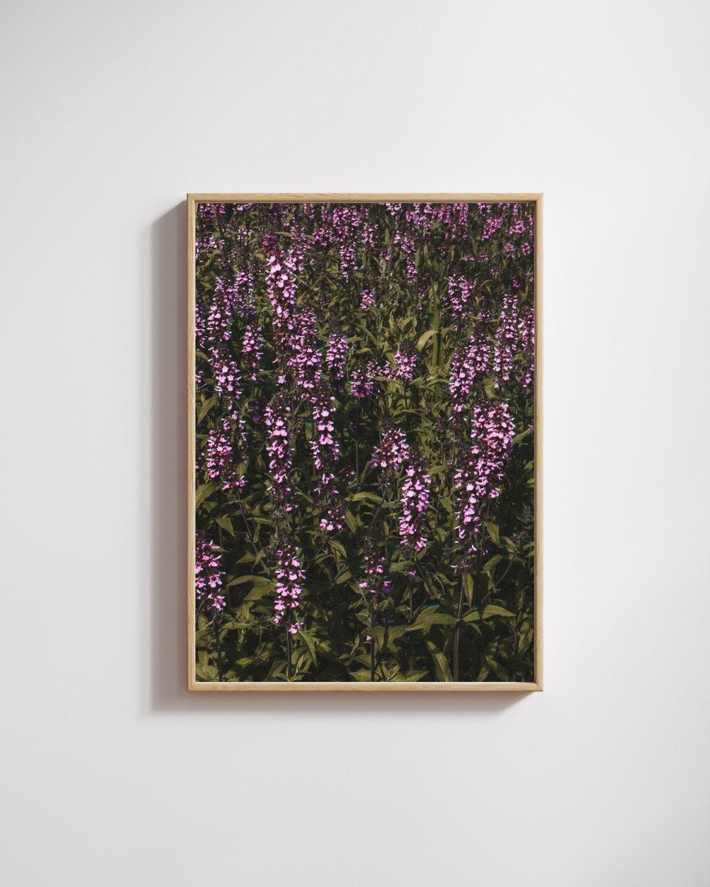 Mauve Blur - Fine Art Poster