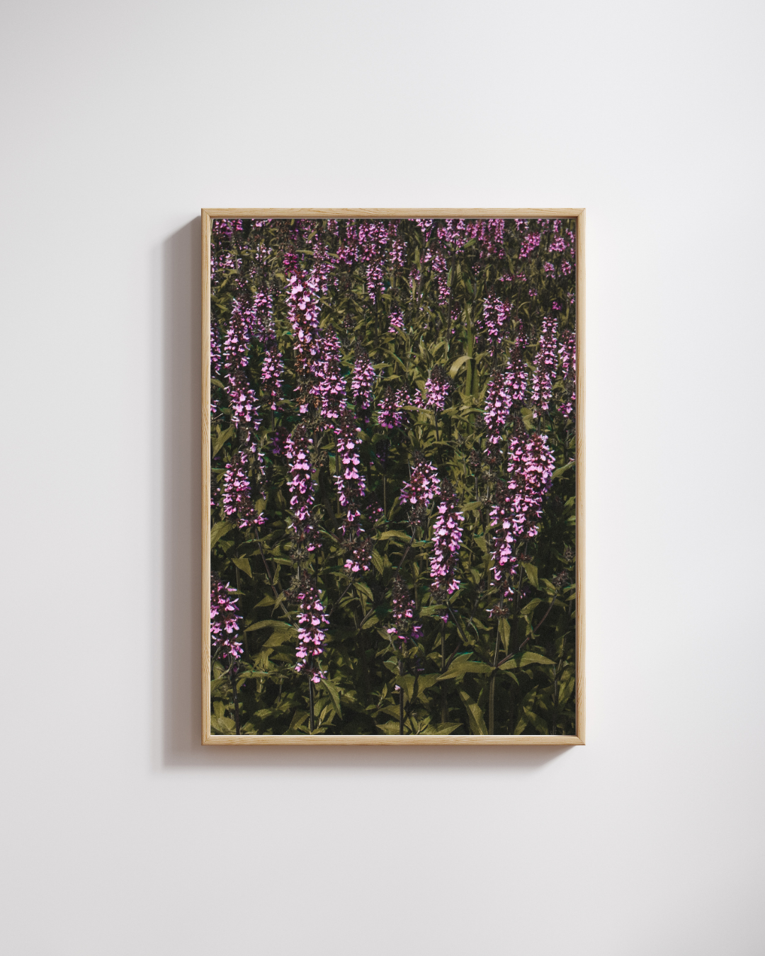 Mauve Blur - Fine Art Poster