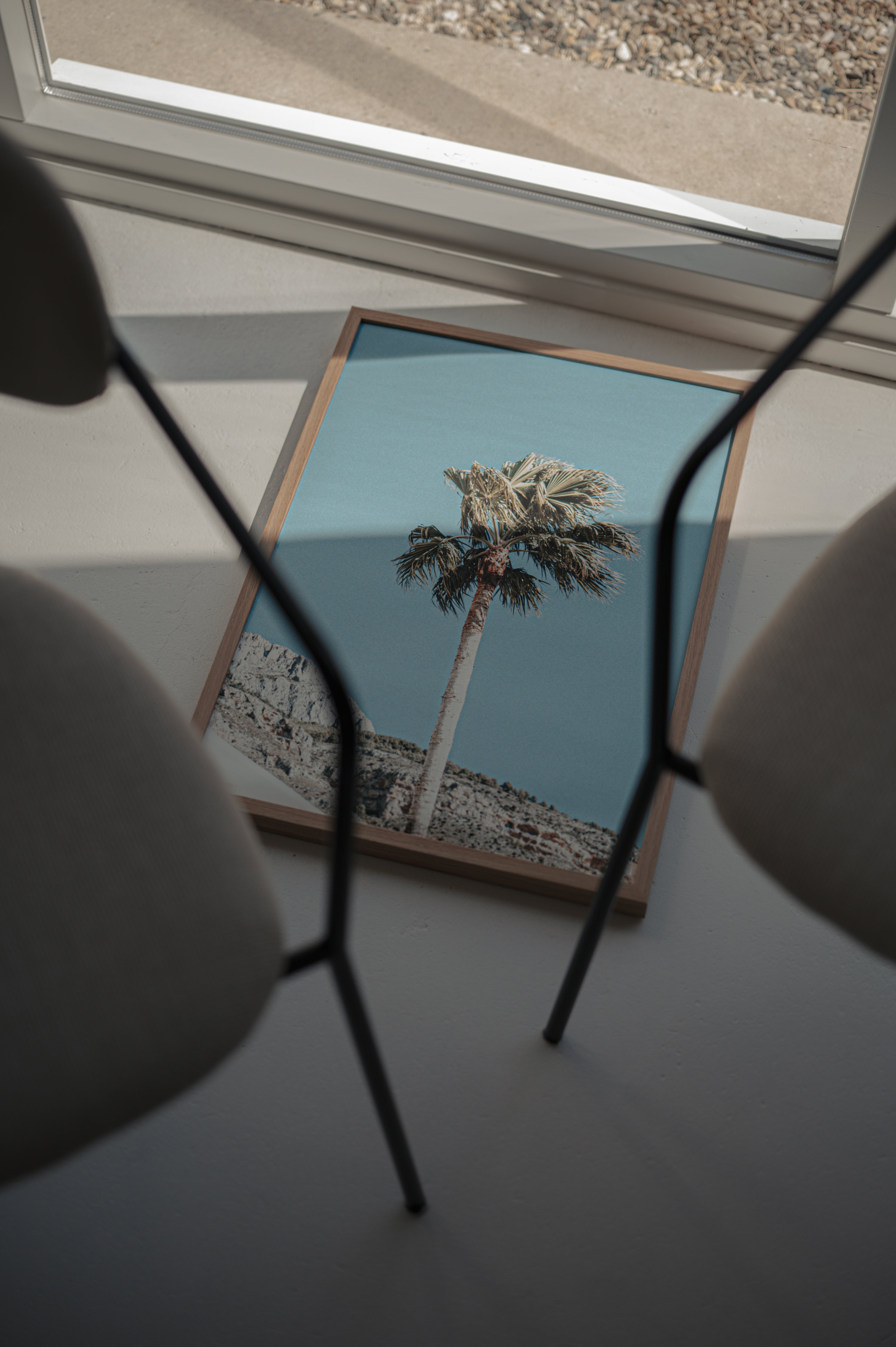 Analog Palm - Fine Art Poster