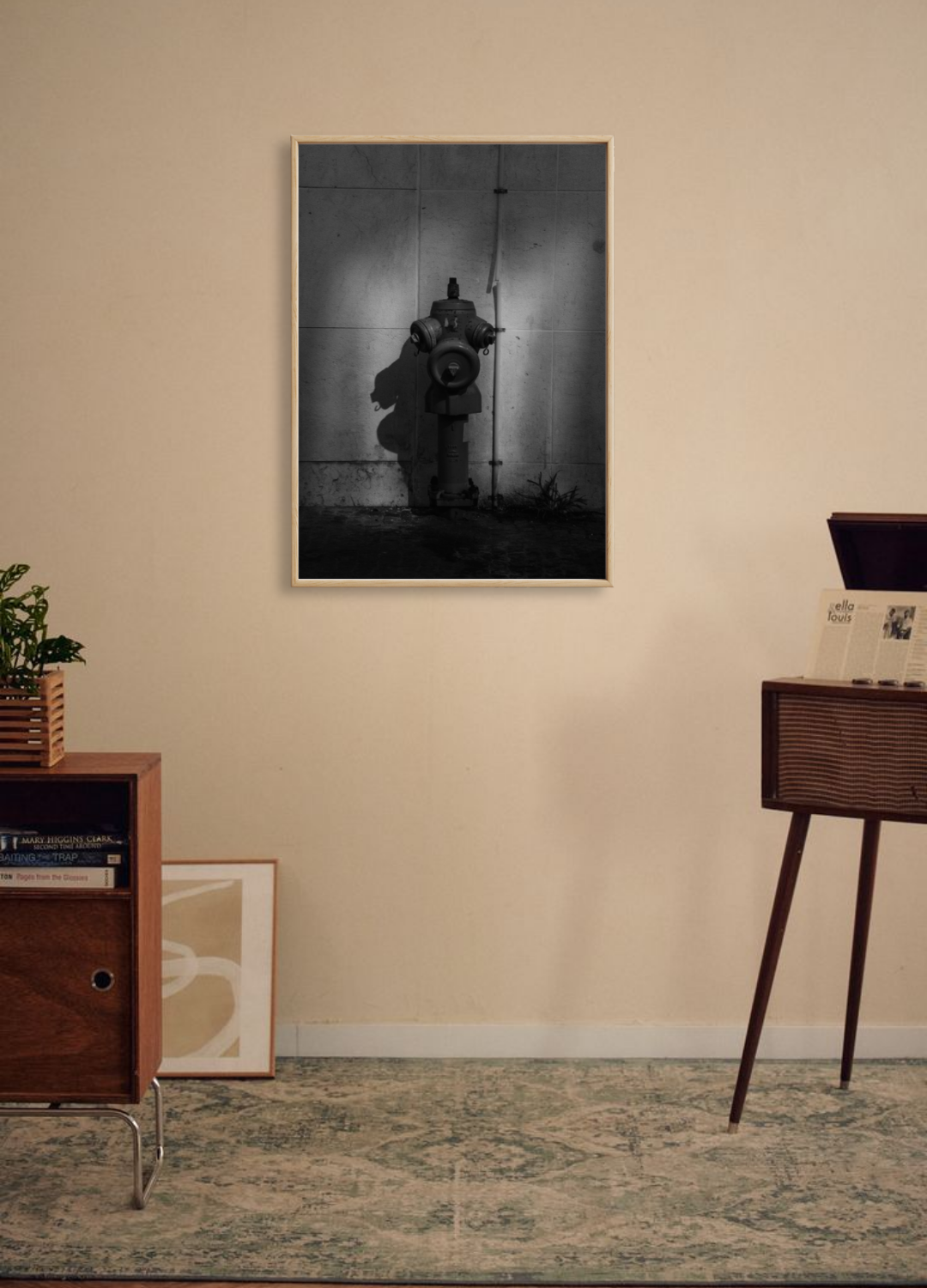 The Red Hydrant - Fine Art Poster
