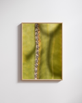 Cactus Lines No.2 - Fine Art Poster