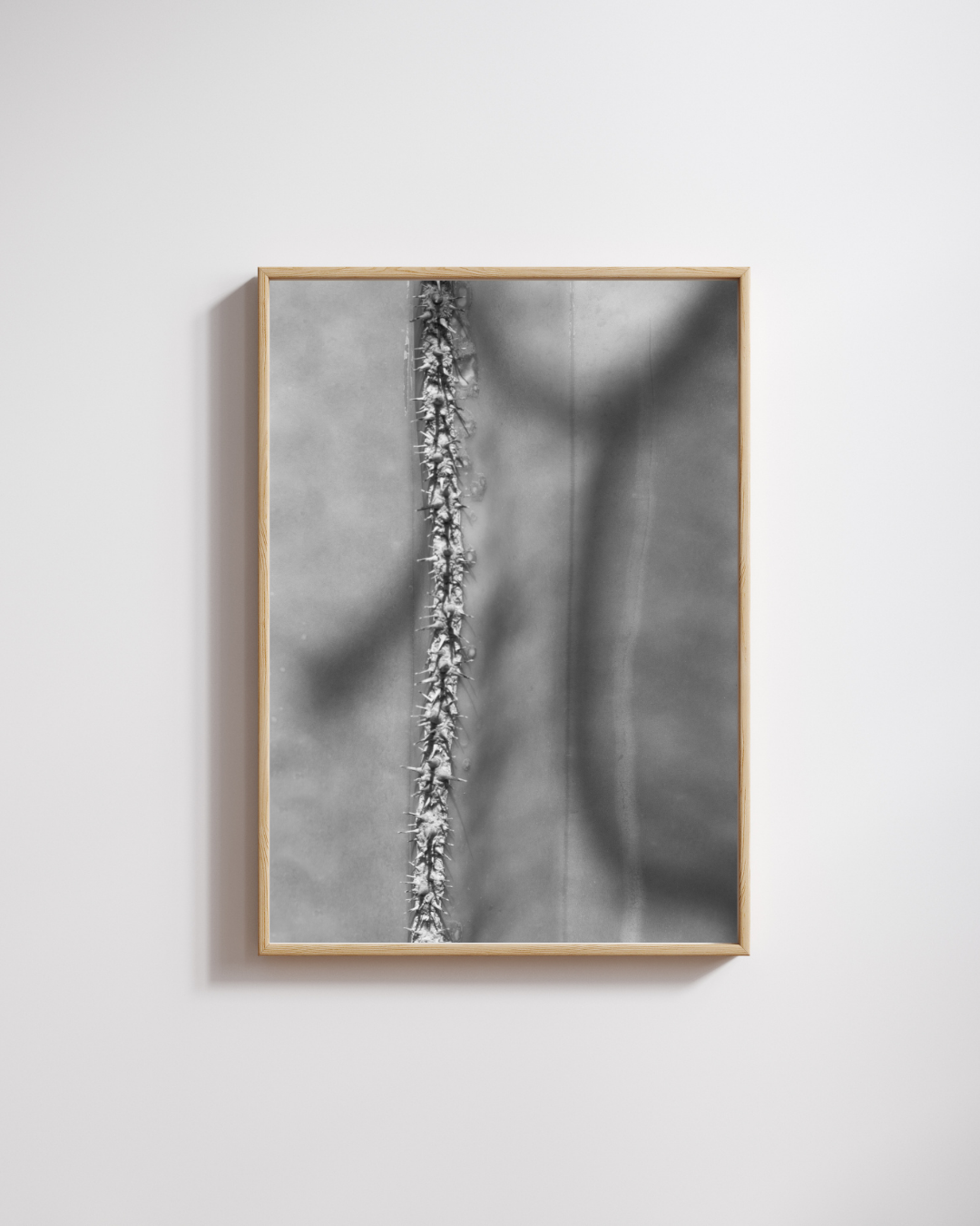 Cactus Lines No.2 - Fine Art Poster
