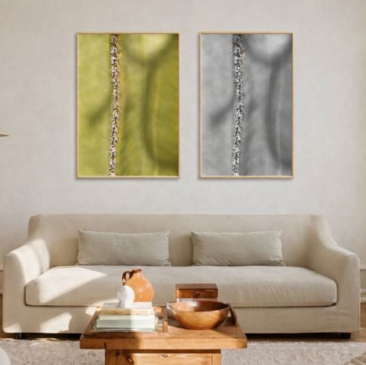 Cactus Lines No.2 - Fine Art Poster